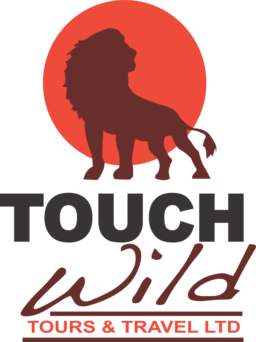 Client Logo